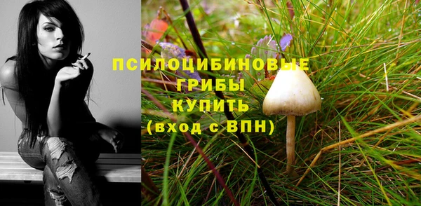 ПСИЛОЦИБИНОВЫЕ ГРИБЫ Бугульма