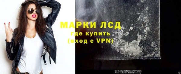 ГАЛЛЮЦИНОГЕННЫЕ ГРИБЫ Верея