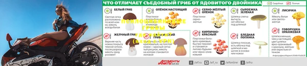 ПСИЛОЦИБИНОВЫЕ ГРИБЫ Бугульма
