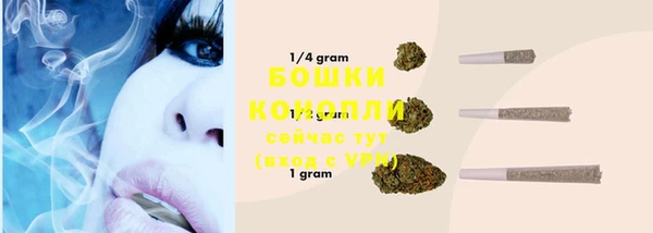 бошки Бронницы