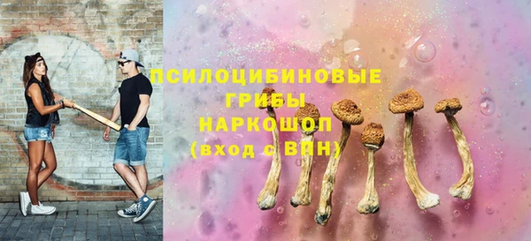 бошки Бронницы